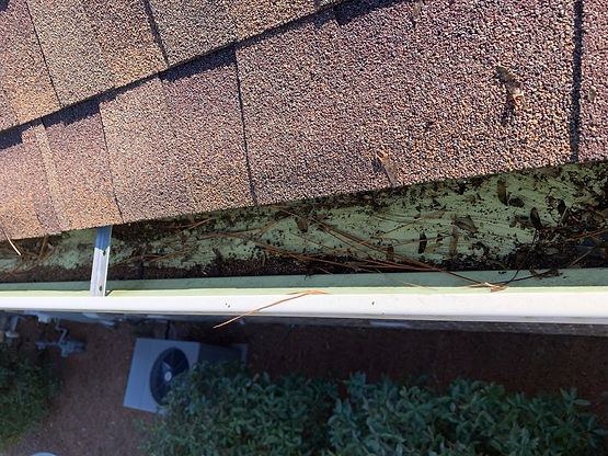 pine-straw-gutter-aiken-sc-wide.jpg