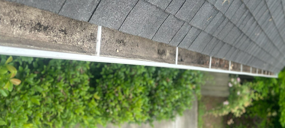 shingle-grit-gutter-csra-wide.jpg