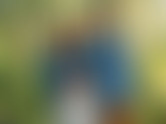 June 2022 Updates