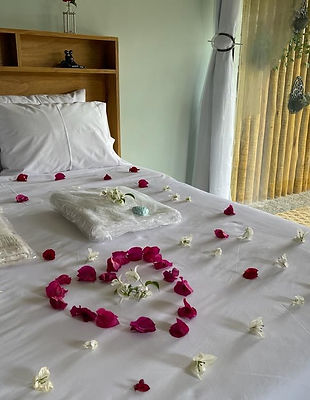 WhatsApp Image 2023-11-21 at 04.37.45 (1).jpeg