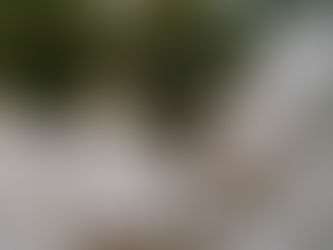 Why Content Creation Is the Modern Wedding Essential