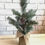 Thumbnail: Christmas - Tabletop Pinecone Tree