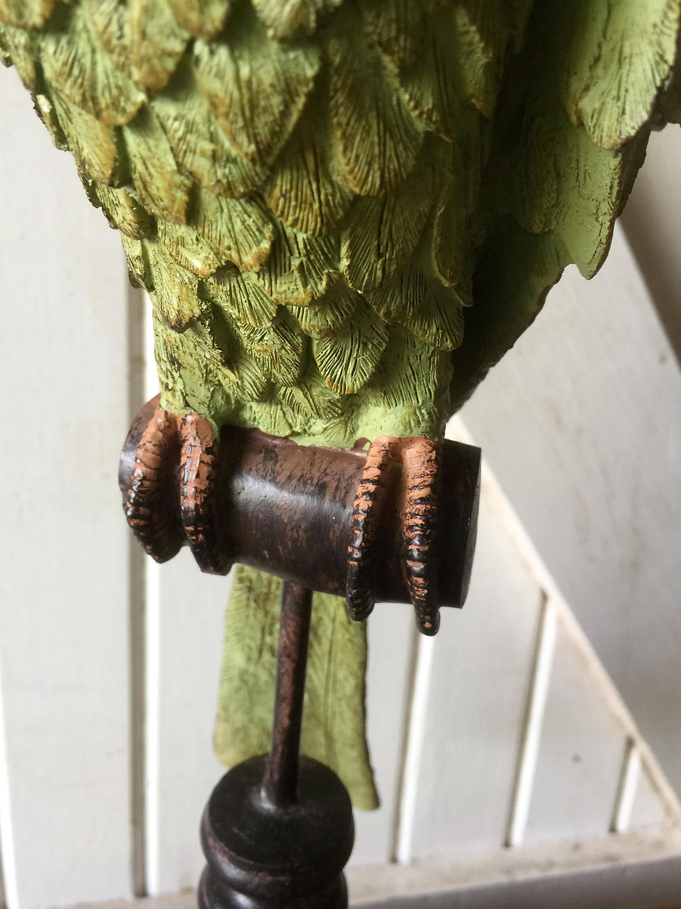 Thumbnail: Aviary Parrot on Wooden Stand