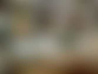 THE MAGIC OF CHILDREN'S BOOK LIBRARIES: FOSTERING IMAGINATION AND LIFELONG LEARNING