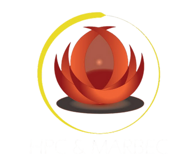 Logo fondo transparente.png