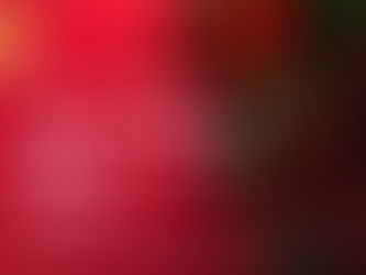 Hygge Christmas Market on Campfire 2020 