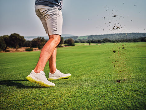 ECCO COUPON for DCCJ Members