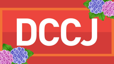 DCCJ Summer Greeting from Chairman Peter Roland 2024