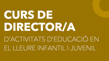 Curs de director de lleure