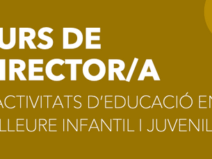 Curs de director de lleure