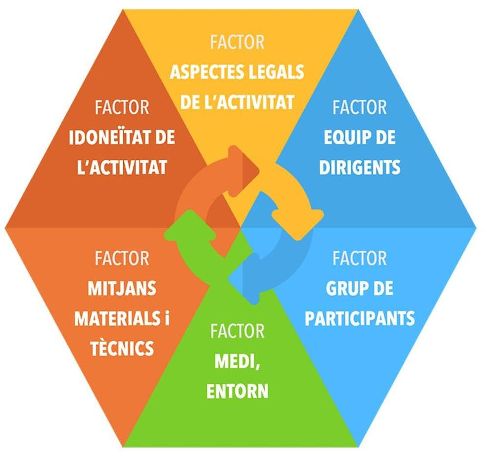 Sistema de gestió preventiva del risc en les activitats d'educació en el lleure infantil i juvenil