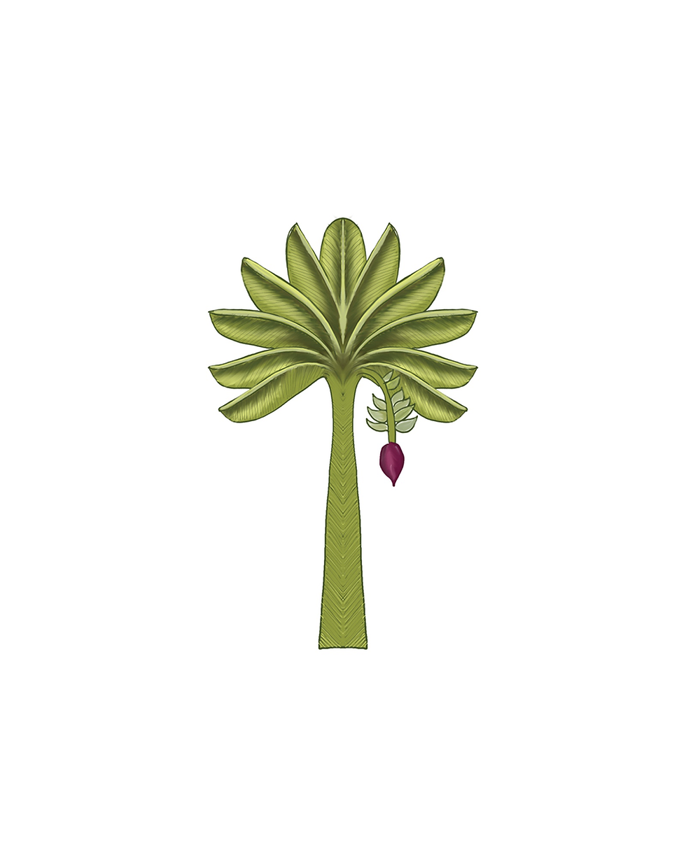 Thumbnail: Banana Tress | Wall Decals/Stickers fabric based