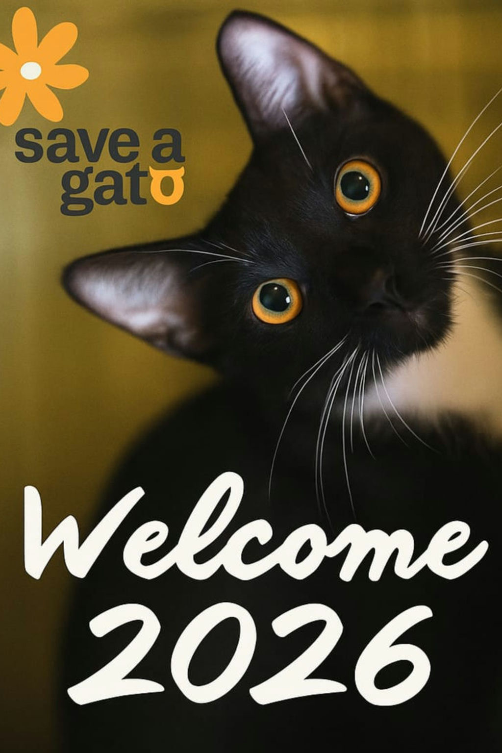 2026 Save A Gato Calendar