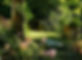garden-gcecd63473_1920.jpg
