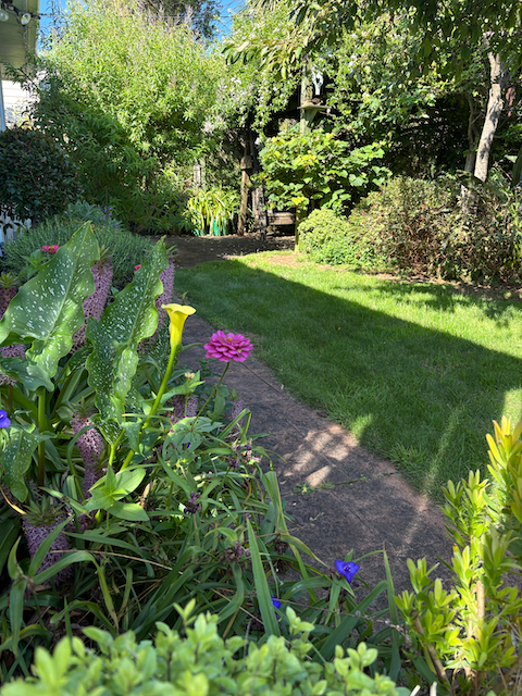Sheltered border garden protected from summer storms