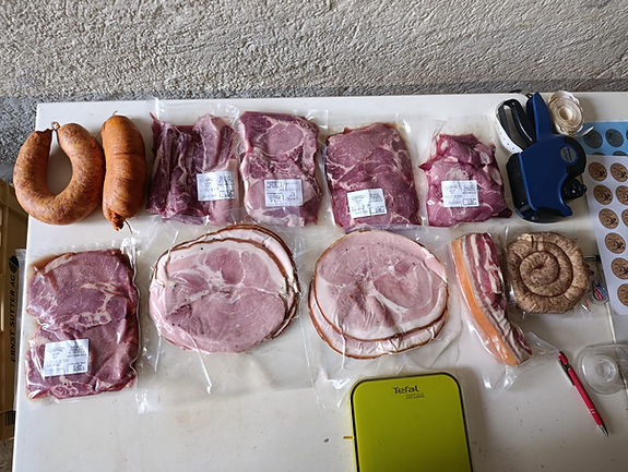 WhatsApp Image 2026-01-17 at 20.58.35.jpeg