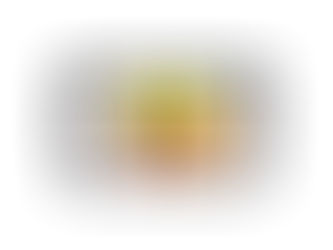 Car DVD GPS Skoda & Volkswagen function with IPOD AM FM Radio Bluetooth