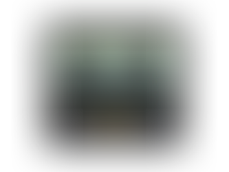 Front camera embedded DVR Black Box dashcam Special S100 / S150