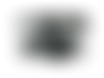 Reversing Camera Special for Audi A1 / A4 (B8) / A5 S5 Q5 TT