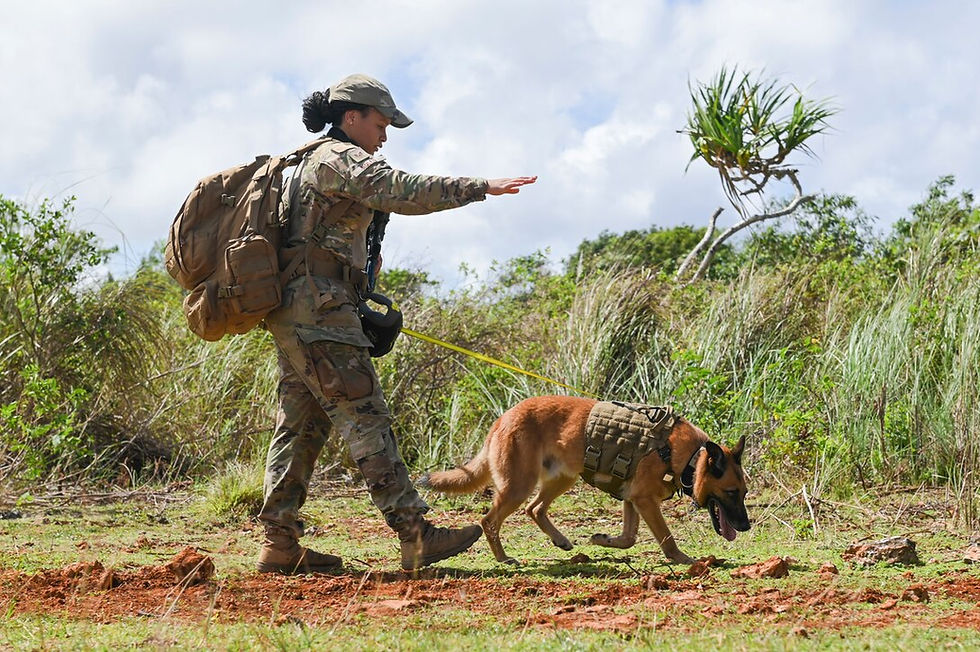 Walking Warrior with dog.jpg
