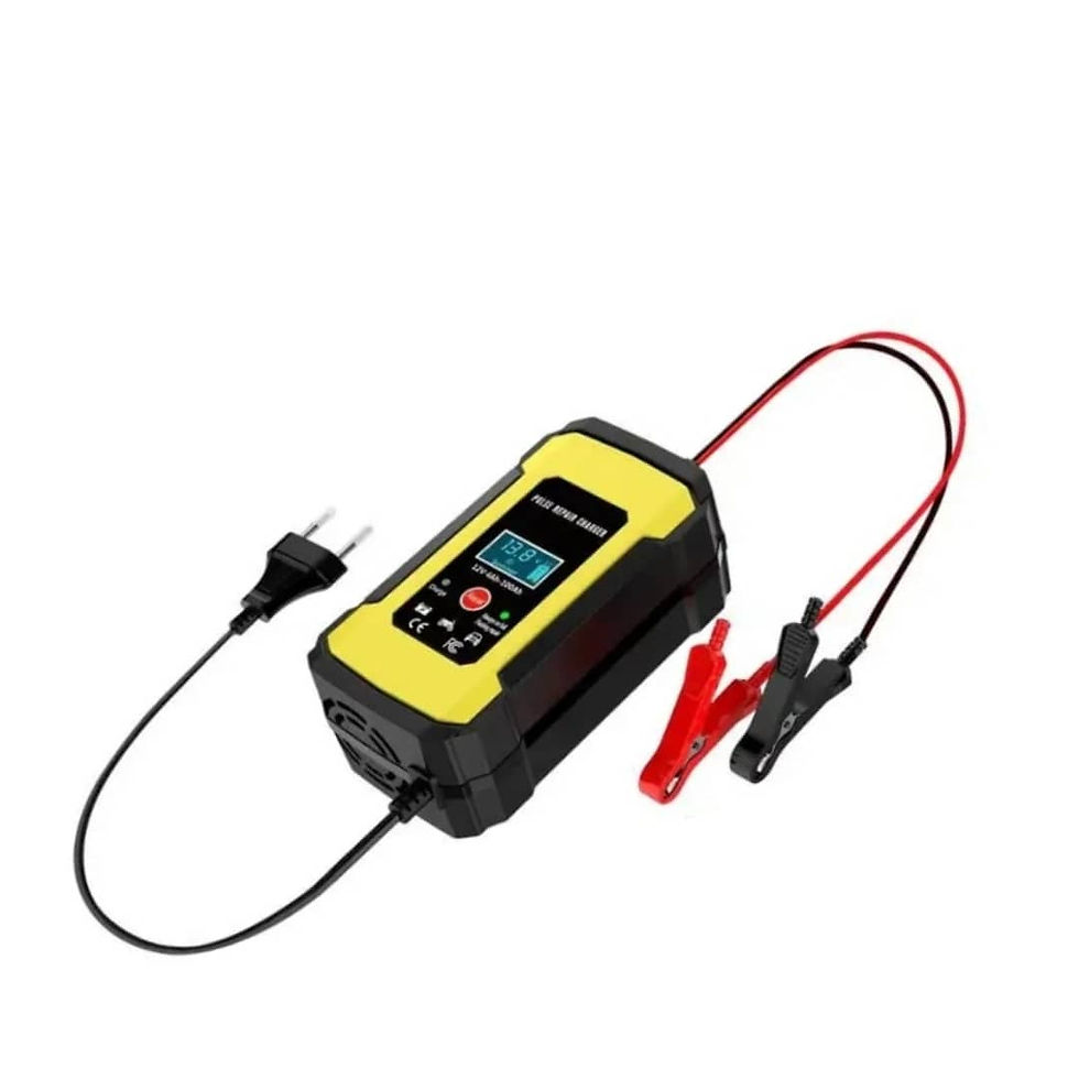 Chargeur de batterie 12V