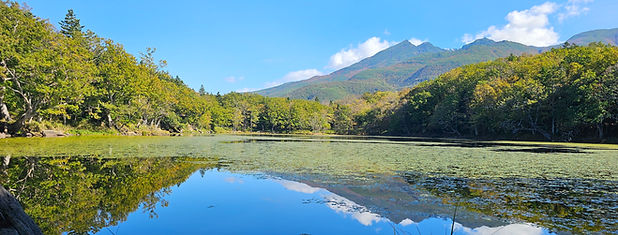 Hokkaido Japan driving holiday road trip drive self-drive nature