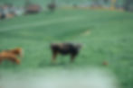 S5807799.jpg