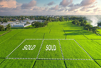 sketch lot split field sold sign