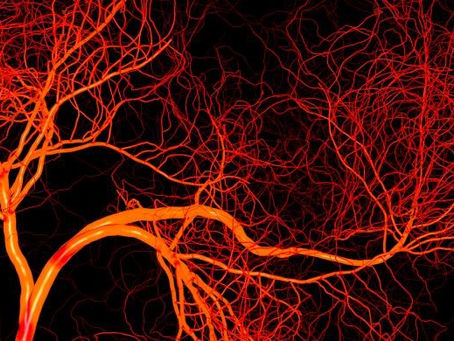 Cutting off supply: is there a way to “starve” tumors? 