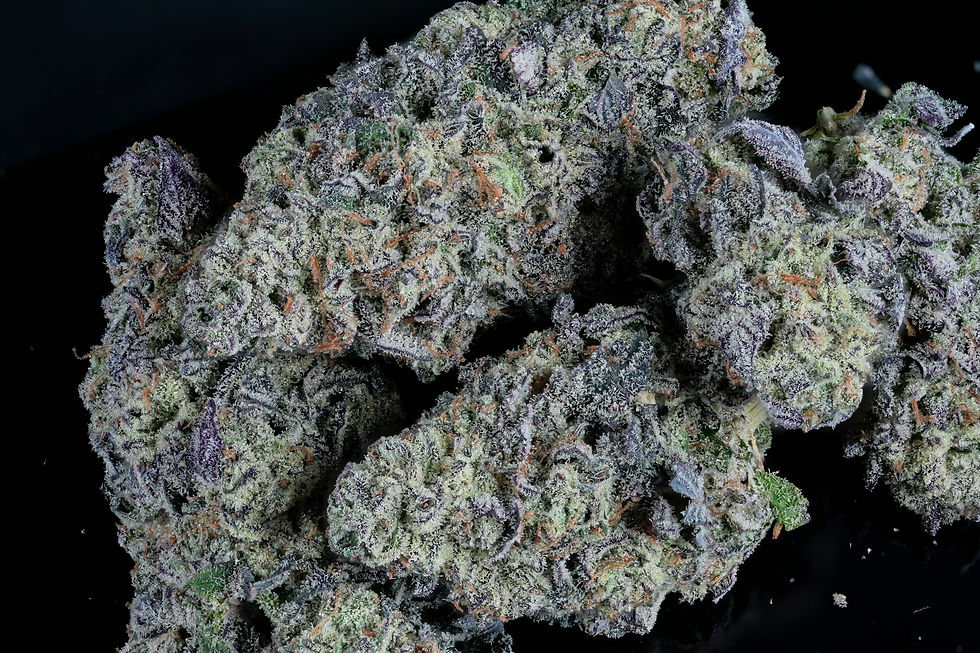 Why Does Weed Turn Purple Naturally? 💜