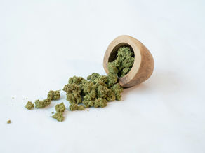 Terpenes 101: Why Your Weed Smells Like Citrus, Gas, or Pine