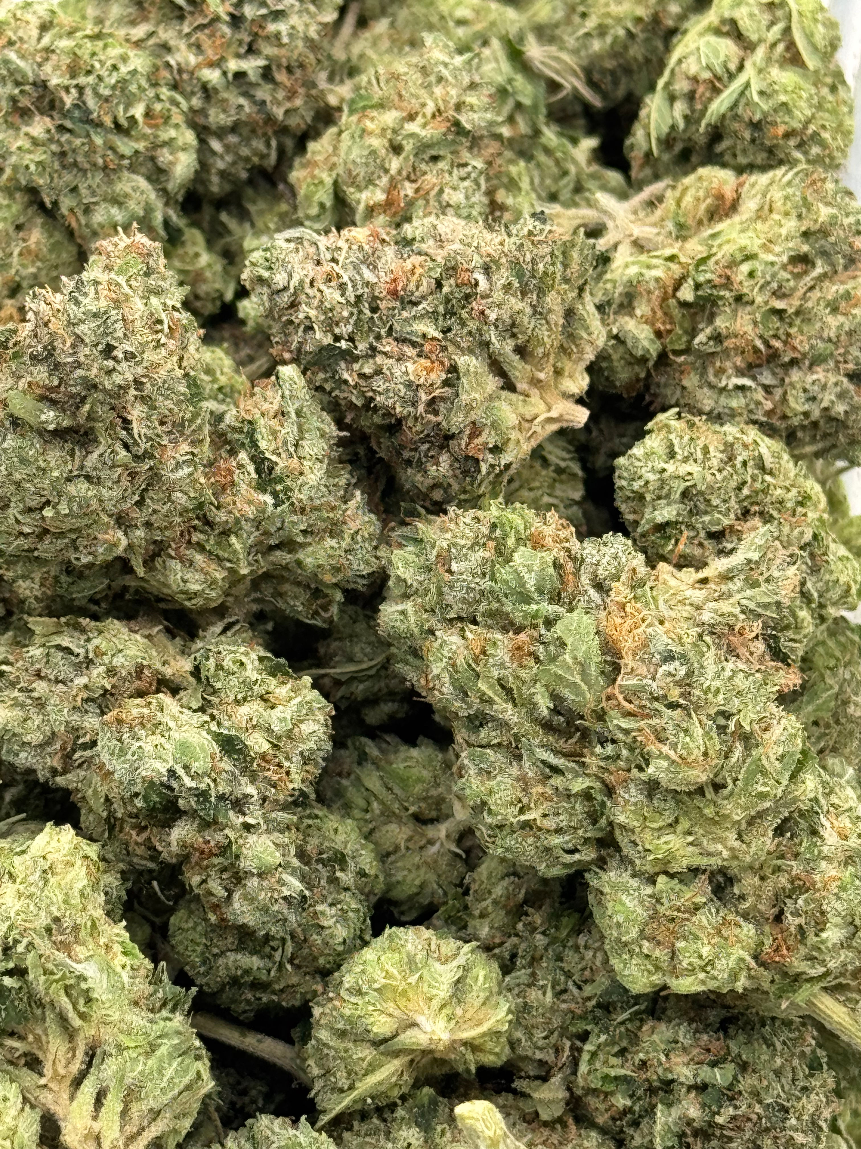 Tom Ford - Indica Hybrid - 28% THC