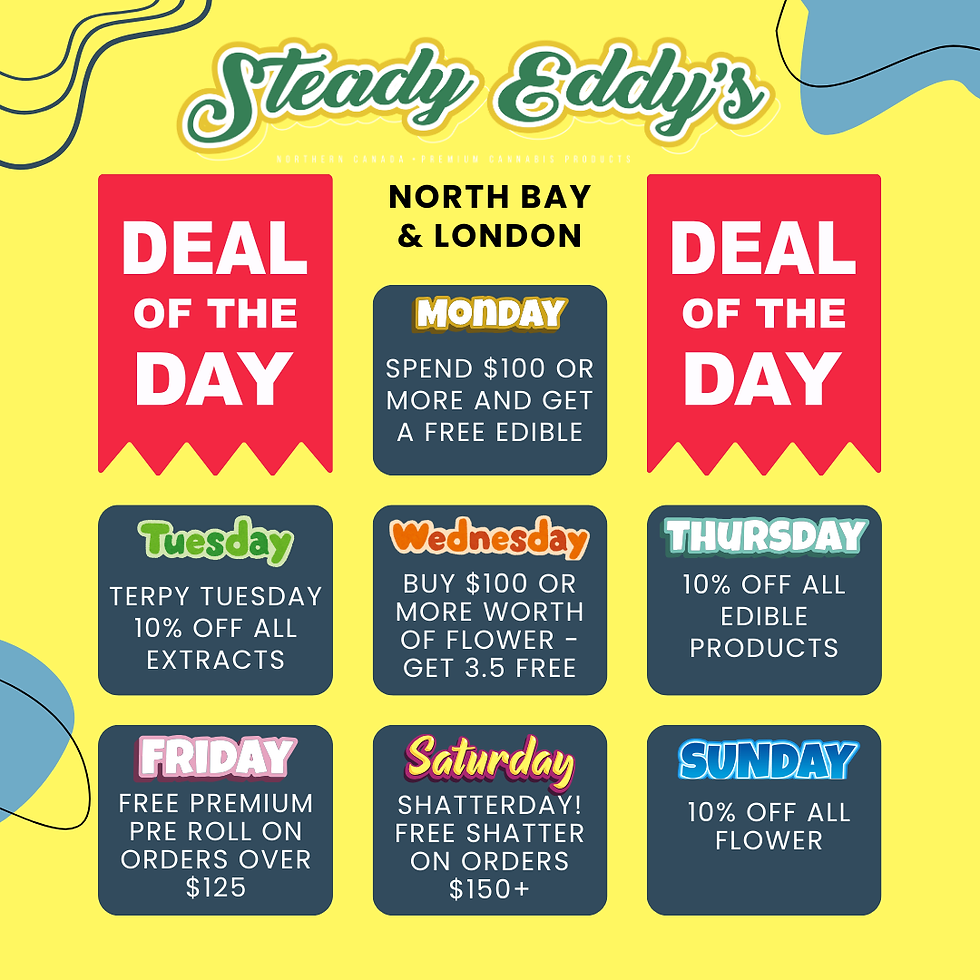 Steady Eddy Daily Deals