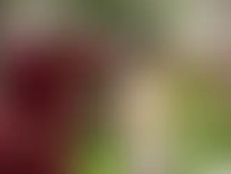 "Splątane losy" – Odcinek 4: Mina przez przypadek niszczy ceną pamiątkę Munevver (streszczenie)