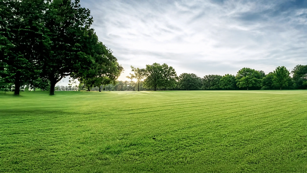 11f07457-50fd-459b-b680-a9502ac0b055.png