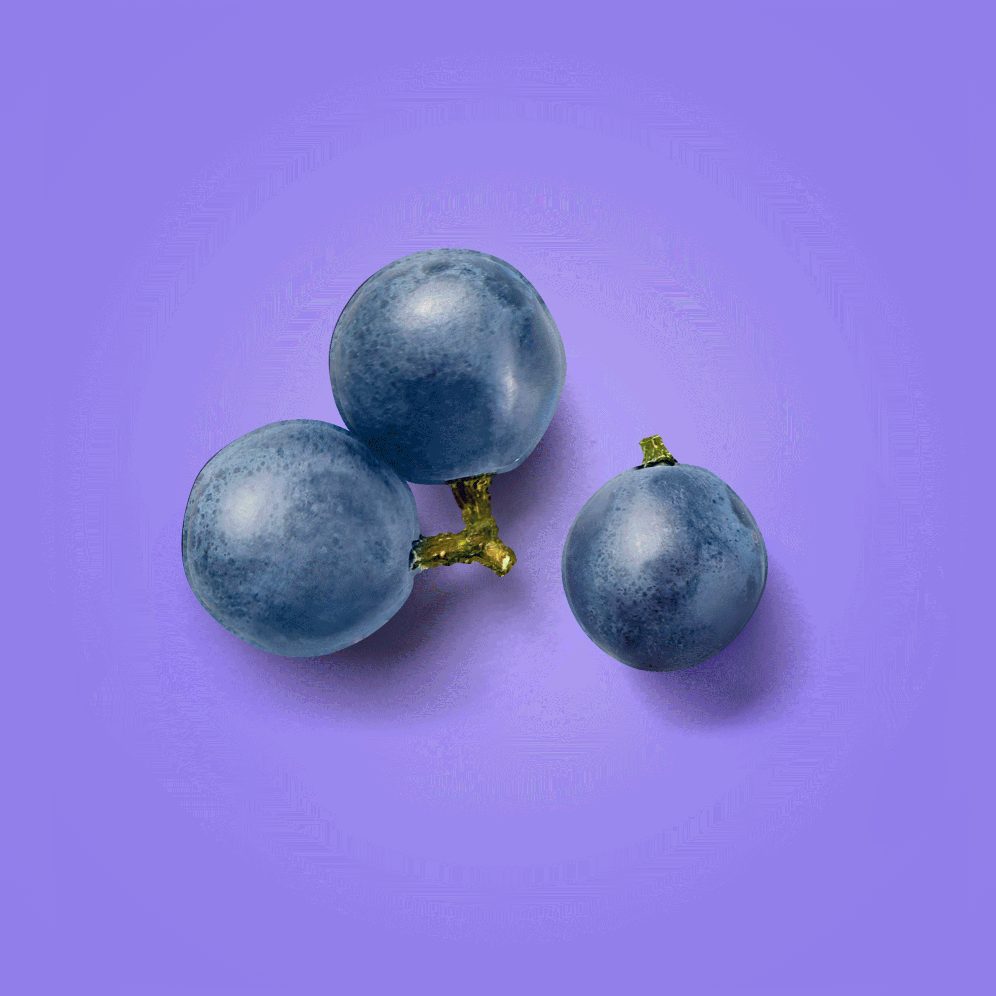 WEL_RealPBJ_Fruit_.gif