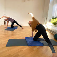 Et yogahold der dyrker Vinyasa yoga