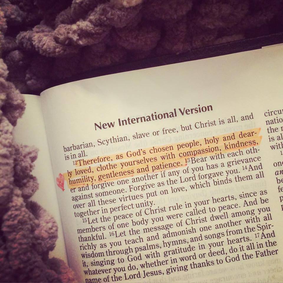 12549110_10153201283221930_4874370560886646493_n