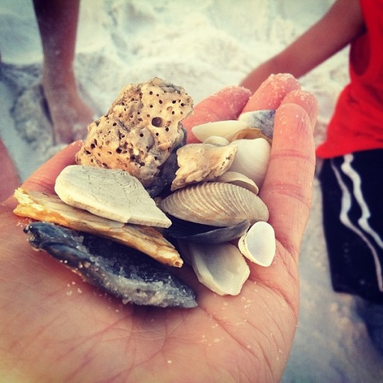 10426854_10152198411701930_4783506552797732638_n