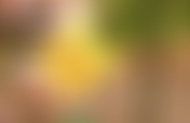 A Blog About Running. But Not For Runners.