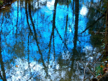 Our Mirrors … Our Mates {More Than Fine}