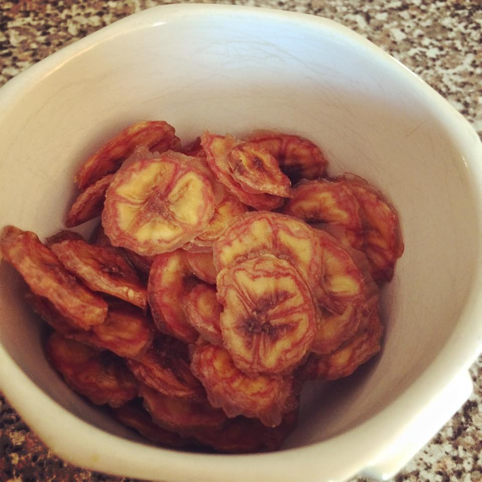 1904040_10152504227646930_6898286266753200421_n