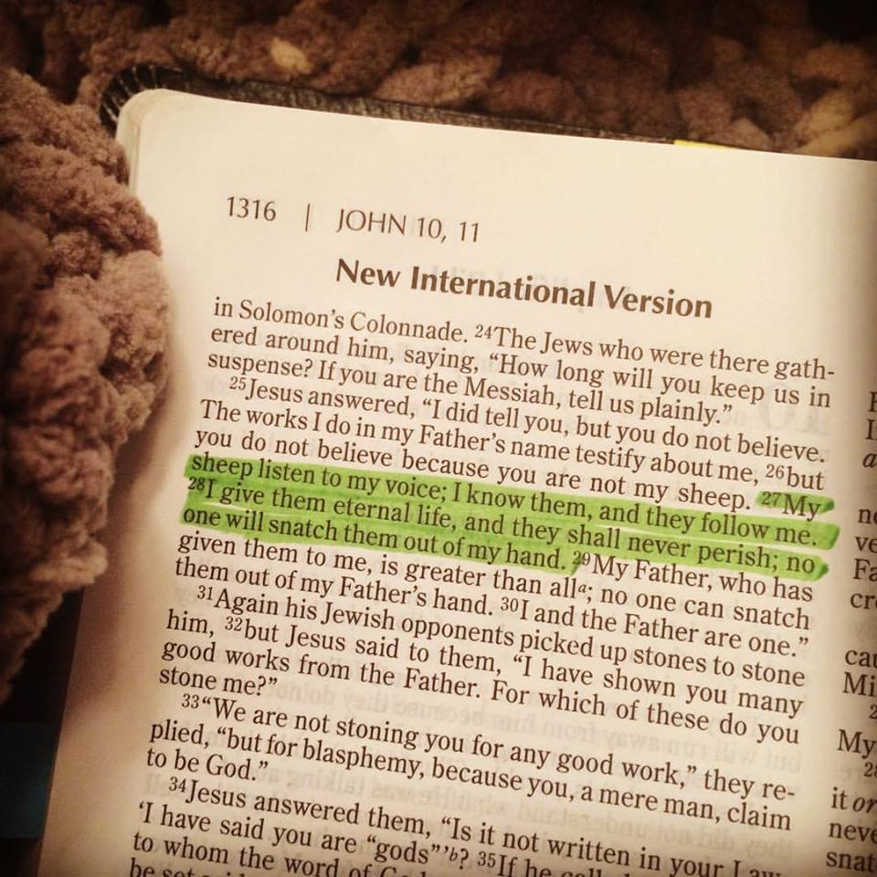 12552525_10153209466456930_6235004097783097069_n