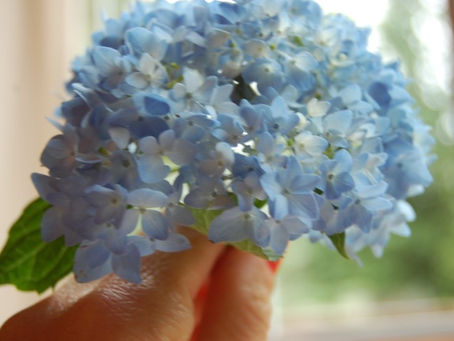 Random: Chris Daughtry, kitchen gadgets and a GIVEAWAY