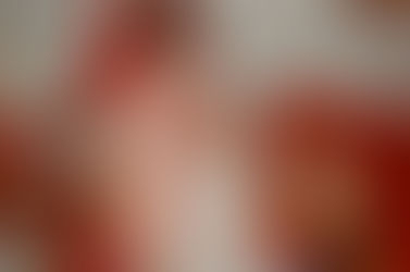 Life is Short…Love Hard