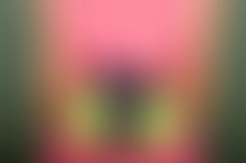 Serving Others – Without Obligation