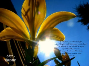 What Hinders You?