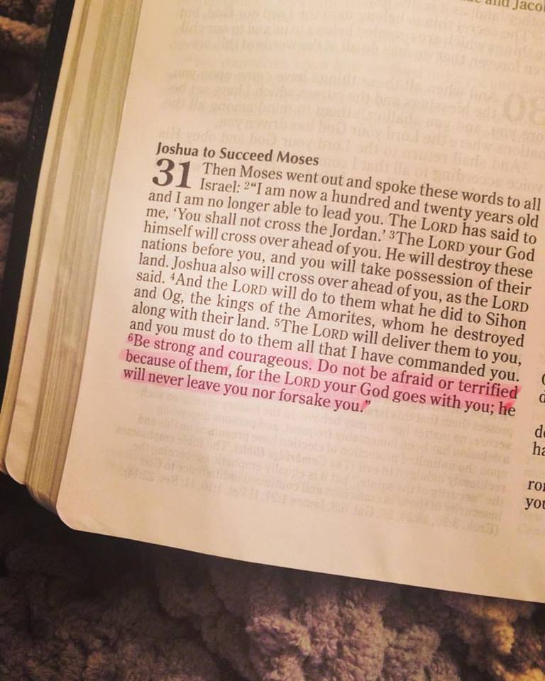 12510393_10153187111656930_4301717481532443636_n