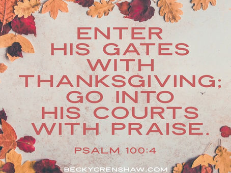 November Gratitude – Enter