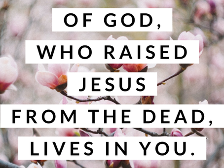 30 Days of Deeper (Day 24)